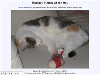 baloneypotd.com