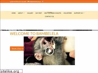 bambelela.org.za