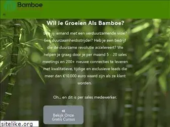 bamboemarketing.nl