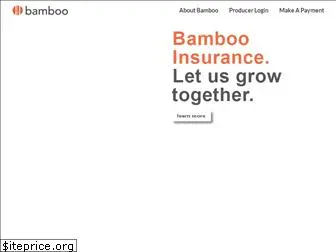 bambooinsurance.com