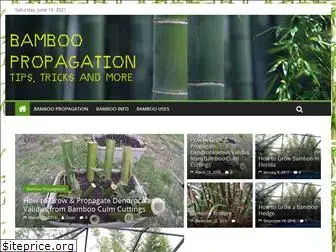 bamboopropagation.info