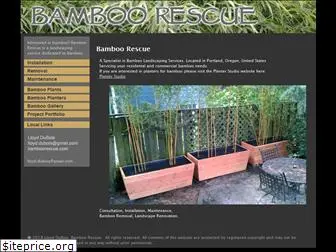 bamboorescue.com