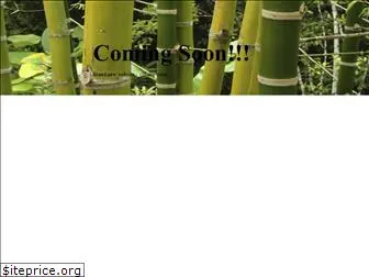 bamboorocketapps.com