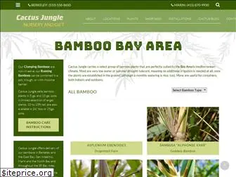 bamboosfbayarea.com