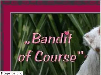 bandit-of-course.de