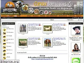 bangthongfence.com