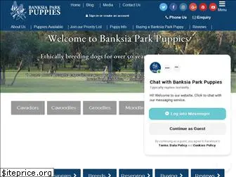 banksiaparkpuppies.com.au