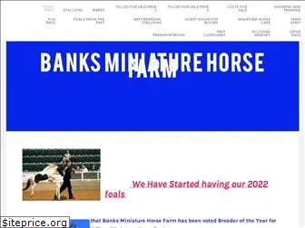 banksminiaturehorsefarm.com