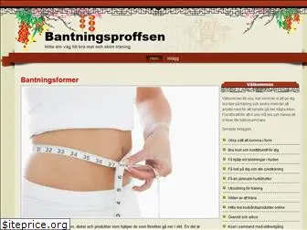 bantningsproffsen.se