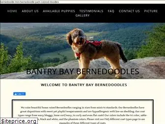 bantrybaybernedoodles.com