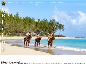barbados-horse-riding.com