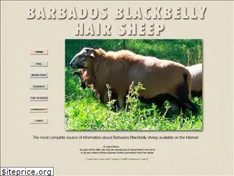 barbadosblackbellysheep.com