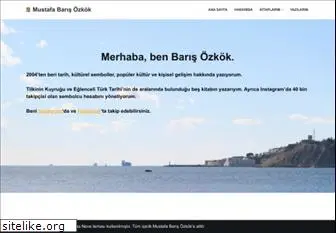 barisozkok.com