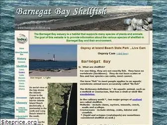 barnegatshellfish.org