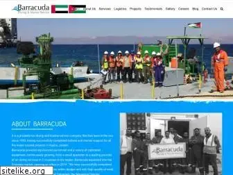 barracudaservice.com