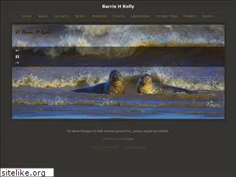 barriekelly.com