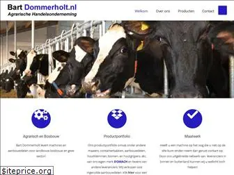 bartdommerholt.nl