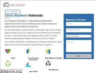 basaksehircevizakademi.com