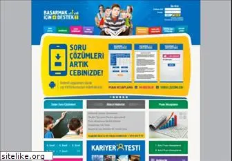 basarmakicindestek.com