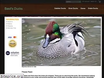 basducks.com