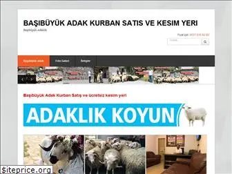 basibuyukadak.com