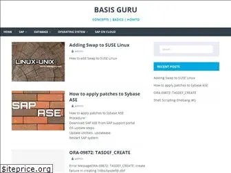 basisguru.com