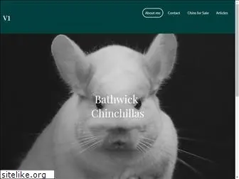 bathwickchins.net