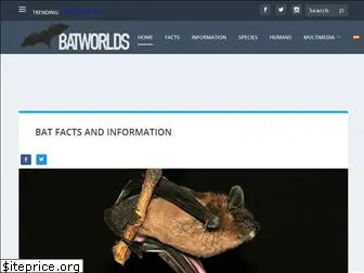 batworlds.com