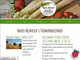 bauer-heinrich.de