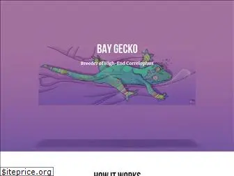 baygecko.com