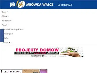 baza-walcz.pl