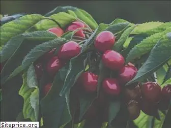 bccherry.ca