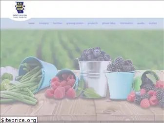 bcfrozenfoods.com