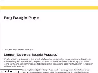 beagle-puppies.com