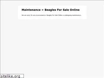 beaglesforsaleonline.com