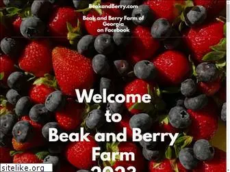 beakandberry.com