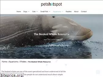 beakedwhaleresource.com