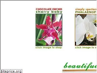 beautifulorchids.com