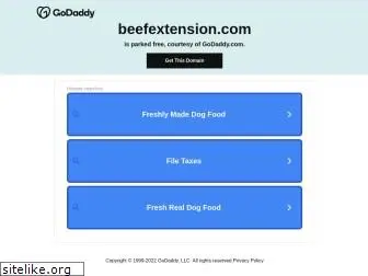 beefextension.com