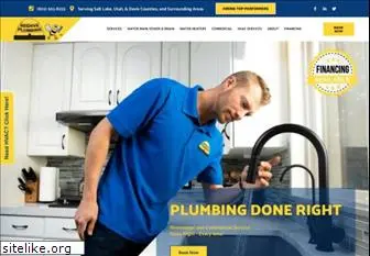 beehiveplumbing.com