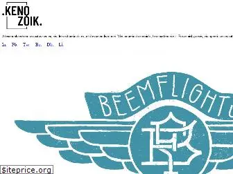 beemflights.nl