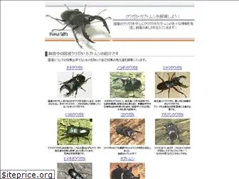 beetle-breeding.com