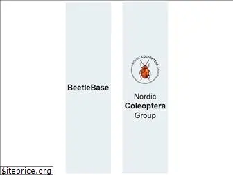 beetlebase.com