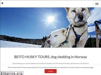 beitohuskytours.com