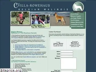 belgianmalinois.net