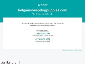 belgiansheepdogpuppies.com