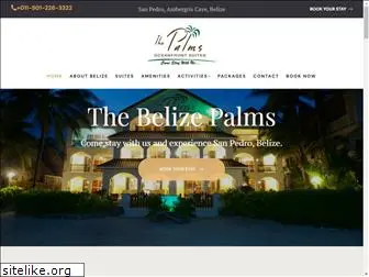 belizepalms.com