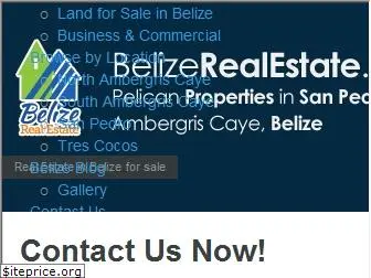 belizerealestate.com