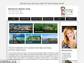 belizerealestateservices.com