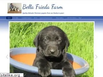 bellafriedafarm.com